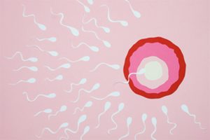 Psychological approach to infertility
