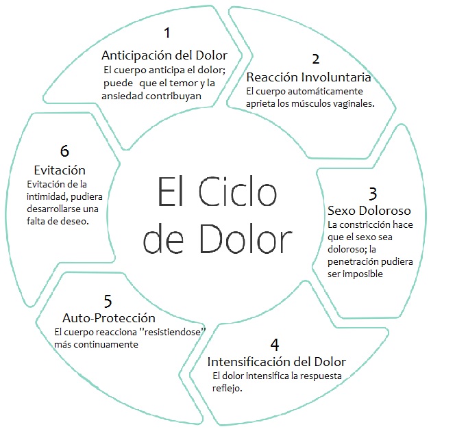 Ciclo del dolor