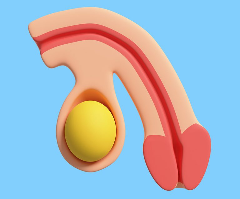Preguntes freqüents i mites sobre el penis des de la sexologia