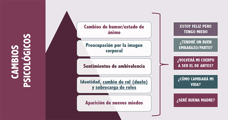 Psychological changes in pregnancy 